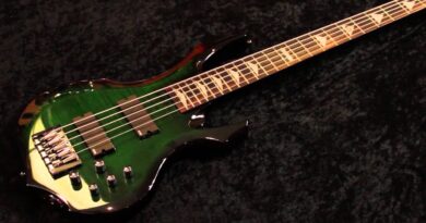 ESP - Suicide Silence DK 5 Bass - Guitars and Sounds Reviews