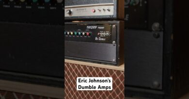 Eric Johnson Clean & Lead Tone Using His Dumble Amp!