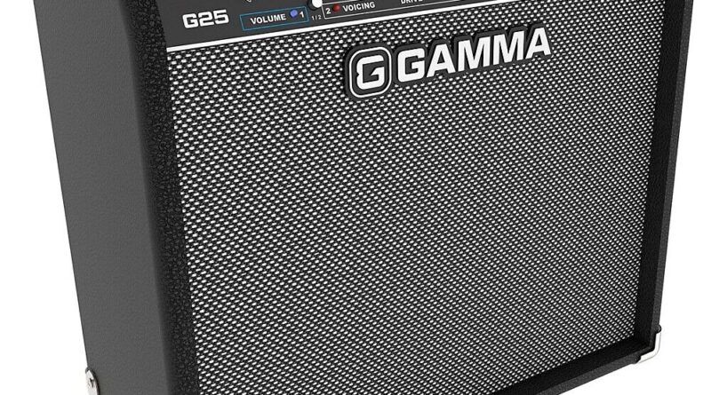 GAMMA G25 1x10 Guitar Combo Amplifier