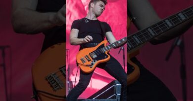 How to get Royal Blood's bass tone in 30 seconds #bass #royalblood #mikekerr