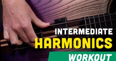 ????Intermediate Bass Harmonics Workout: Unlock the Magic of Harmonics