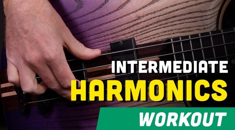 ????Intermediate Bass Harmonics Workout: Unlock the Magic of Harmonics