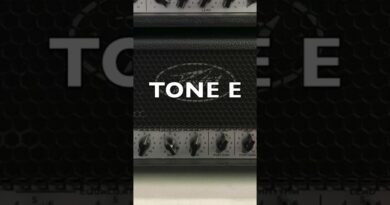 Monster Metal Amp Blind test Results Peavey 6505 Tone E #guitar #metal #evh #peavey