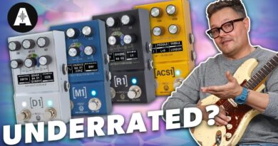 New Walrus Audio Mako MKII! - Don't Ignore These Awesome Pedals!