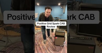 Positive Grid Spark CAB Review - Bass Guitar