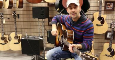 Rafa Raposo Reviews The Aer Domino Acoustic Amp - Rimmers Music