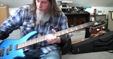 Rogue Series III LX200B Bass Guitar Review