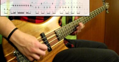 Spacehog - In The Meantime (Bass Cover) (Play Along Tabs In Video)