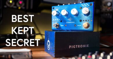 THIS is the best reverb pedal you haven’t yet heard of! Full Demo