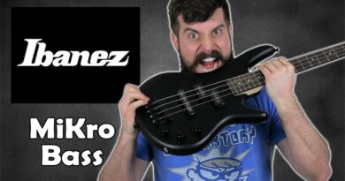 The Ultimate Beginner Bass?? | Ibanez GSRM20 Mikro Short-Scale Bass Guitar