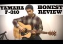 Yamaha F310 Guitar Review & Sound Demo