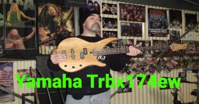 Yamaha TRBX174EW Bass Review VS Ibanez Gio Bass