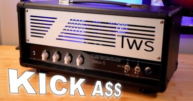 the BEST Sounding Amp in my Collection - Tube Workshop TWS 2864-S