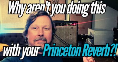 3 things you NEED to do with your Princeton Reverb Amp