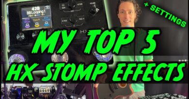 5 Best Desert Island HX Stomp Effects