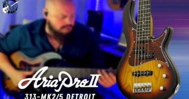 Aria Pro II // 313-MK2/5 DETROIT Bass Review