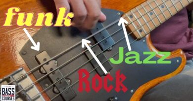 Bass Tone Is In The Hands [Hand Placement Techniques For Bass]