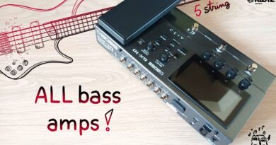 Boss GX-10 All 9 Bass Amps | Should Bassists BUY THIS? | Pick + Fingerstyle Ibanez 5 string EHB1505