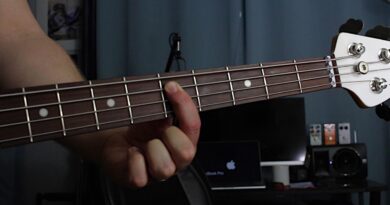 How To Play 12 Bar Blues Bass Guitar Easy Lesson | Beginner Blues Lesson