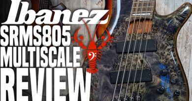 Ibanez SRMS805 SoundGear Multiscale - Has the EHB made the SRMS Obselete? - LowEndLobster Review