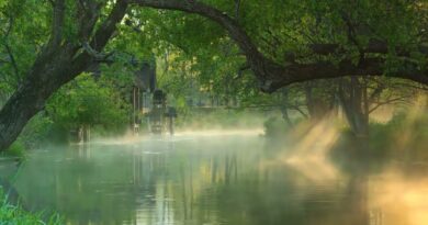 Musik Relaksasi 24/7 : Terapi Otak Suara Alam Full, Relaksasi Tidur, Insomnia, Spa, Meditasi,Healing