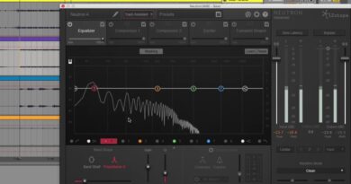 Quick Tip | How to best EQ Bass with Neutron
