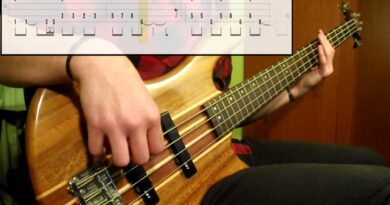 Red Hot Chili Peppers - Soul To Squeeze (Bass Cover) (Play Along Tabs In Video)