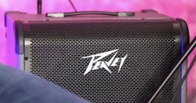 Review Demo - Peavey MAX 150