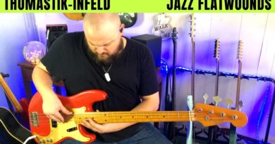 THOMASTIK-INFELD Jazz Flat Wound Bass Strings Review