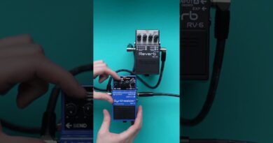 Boss SY-1 stacked with Boss RV-6 Reverb pedal: perfect combo for ambient sounds.