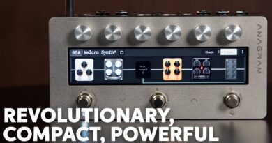 Darkglass Anagram Multi-effects Bass Workstation Demo