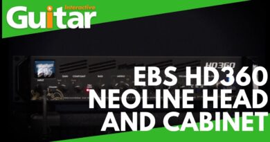 EBS HD360 NeoLine Head and Cabinet | Review