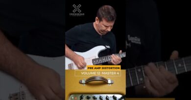 Fender Tweed Blues Junior Tone Settings #shorts