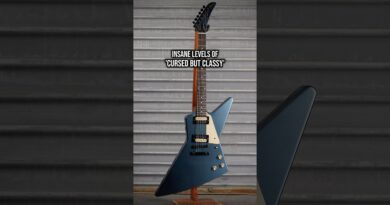 GIBSON HAVE GONE TOO FAR...