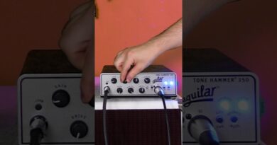 Get Les Claypool's bass tone in 30 seconds #bass #primus #lesclaypool