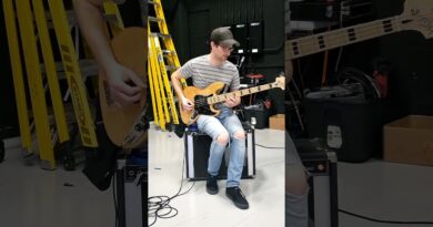 I Learned The Right Way To Play Schism By Tool On Bass #bass #bassguitar #bassist #tool #schism