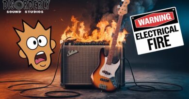 Is It Safe to Plug My Bass into a Guitar Amp? | Bi-Amping Bass