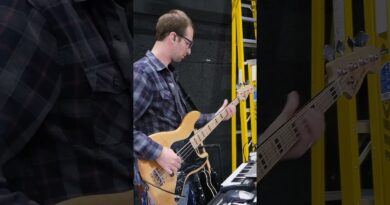 Neural Amp Modeler With A Heavy Bass Profile (NAM)