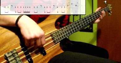 Primus - Wynona's Big Brown Beaver (Bass Cover) (Play Along Tabs In Video)