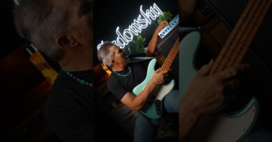 REVERSE COMPENSATION - Andy's Personal Amp Settings