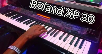 Roland XP 30 Indian Tones ] Popular Music Studio