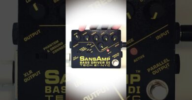 The #LEGENDARY @Tech21nyc #Sansamp #BASSDRIVER #DI #Shorts