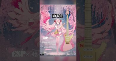 WTF IS HAPPENING WITH ESP GUITARS?!