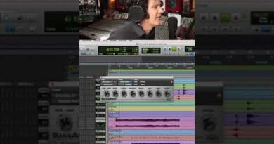 Adding Punch and Grit when Mixing Bass Guitar