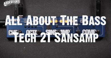 All About The Bass - Tech 21 Sansamp Bass Fly Rig