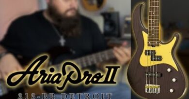 Aria Pro II 313-BB Detroit // Bass Guitar Review