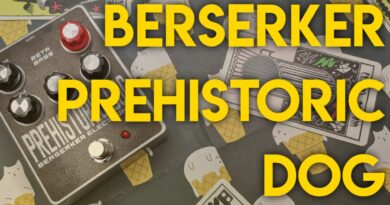 Berserker Electronics: Prehistoric Dog - Sunn Beta Bass Preamp | Amateur Effects Reviews