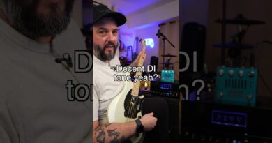 Best budget Bass Preamp? Joyo Audio Monomyth (Darkglass killer?)