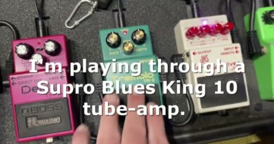 Boss TR-2 Tremolo Pedal: Review and Comments