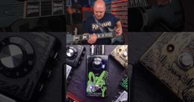 Checking out every Does It Doom pedal ???????? @DoesItDoom #guitar #fuzzguitar #effectspedals